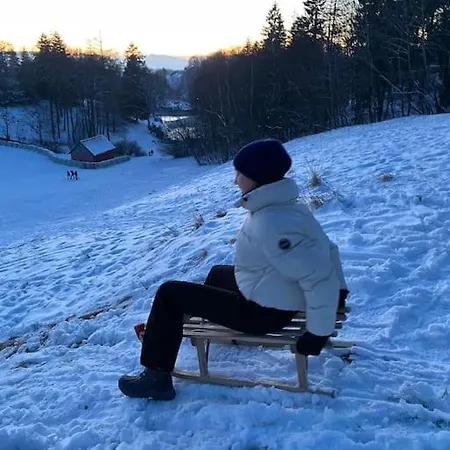 Dom wakacyjny Mountain View Six50 Mit Sauna Und Kamin In St. Andreasberg *