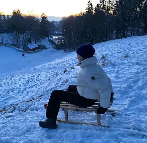 Feriehus Mountain View Six50 Mit Sauna Und Kamin In St. Andreasberg *